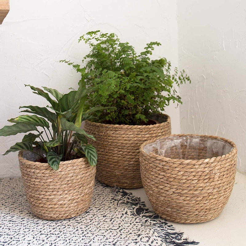 indoor plant basket pot Seagrass Wicker Plant Basket – That Organized Home
