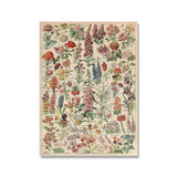 Botanical Vintage Wall Posters