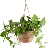 Woven Jute Hanging Plant Holder