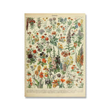 Botanical Vintage Wall Posters