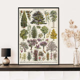Botanical Vintage Wall Posters
