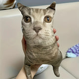 Custom Pet Photo Pillow