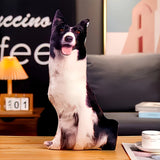 Custom Pet Photo Pillow