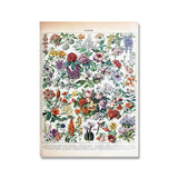 Botanical Vintage Wall Posters