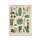 Botanical Vintage Wall Posters