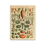 Botanical Vintage Wall Posters