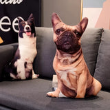 Custom Pet Photo Pillow