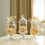 TRANSPARENT GLASS CANDY JAR WITH LID