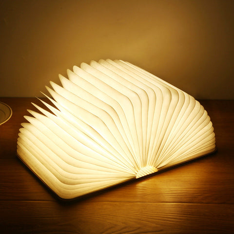 LED BOOK LIGHT